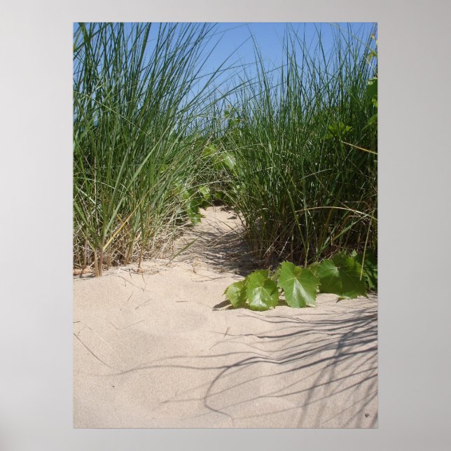 Poster Herbe de plage, Dunes de Warren, MI (Devant)