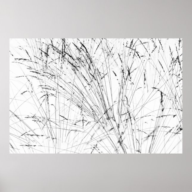 Poster Herbe D'Hiver En Neige (Devant)