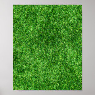 Poster Herbe verte