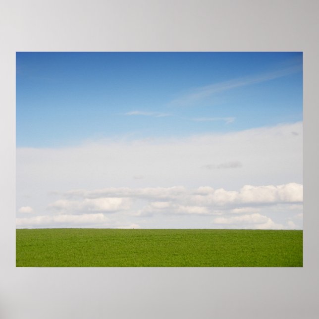 Poster Herbe verte (Devant)