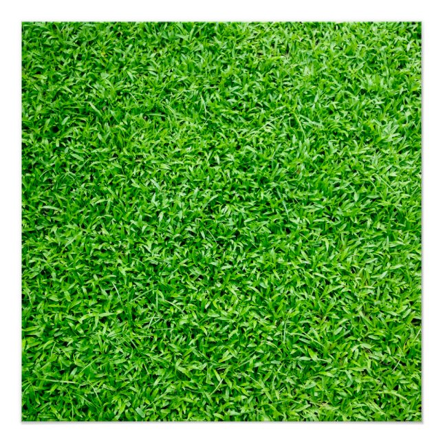 Poster Herbe verte (Devant)