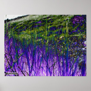 Poster herbe violette et verte