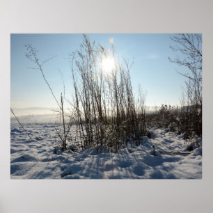 Poster Herbes d'hiver -