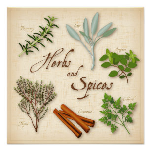 Poster Herbes et épices, romarin, Sage, thym, cannelle