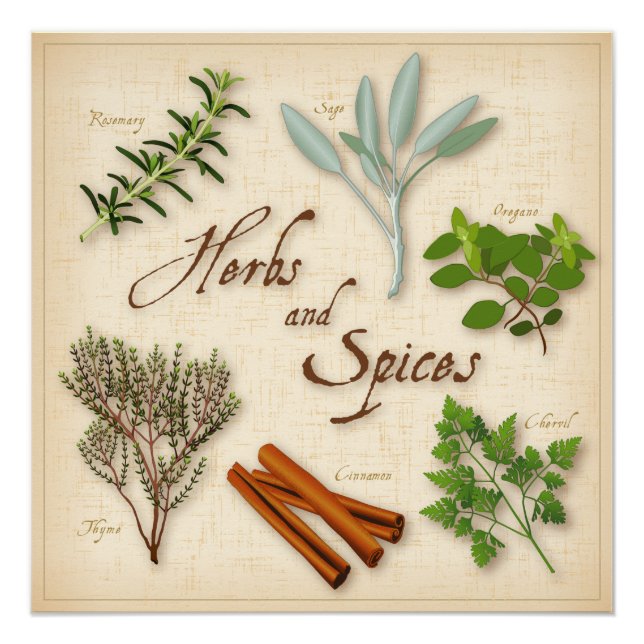 Poster Herbes et épices, romarin, Sage, thym, cannelle (Devant)