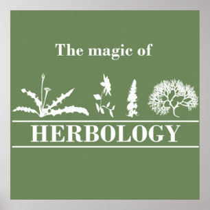 Poster herbologie