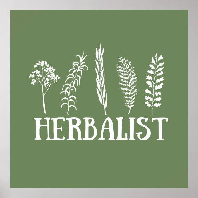 Poster herboriste (Devant)