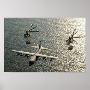 Poster Hercule et étalons superbes