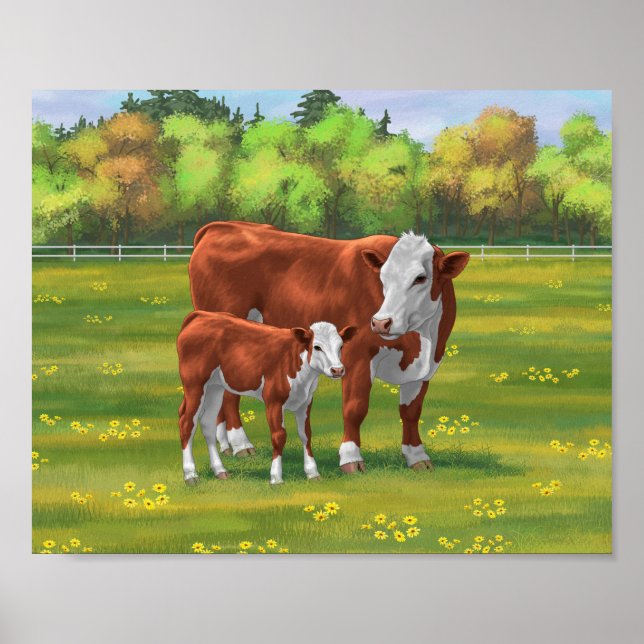 Poster Hereford Cow & Cute Calf dans les pâturages d'été (Devant)