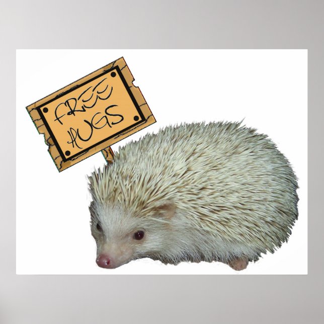 Poster Hérisson de Hugs Libres (Devant)