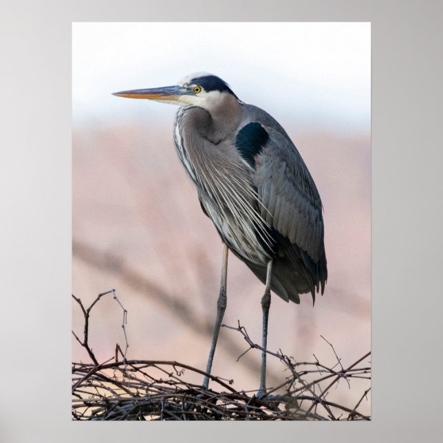 Poster Heron (Devant)