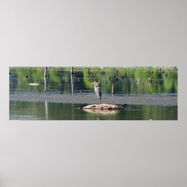 Poster Heron (Devant)