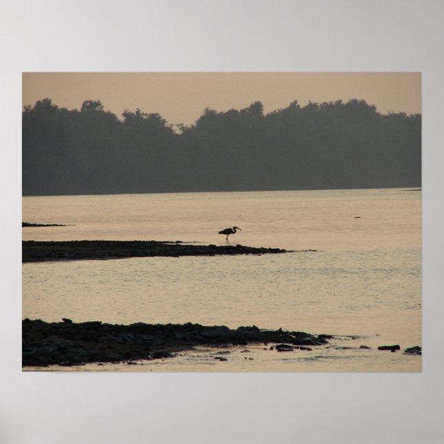 Poster Héron bleu sur le Mississippi au coucher du soleil (Devant)