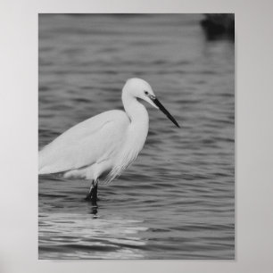 Poster Héron noir et blanc Tropical Printable Art