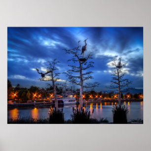 Poster Hérons riverains