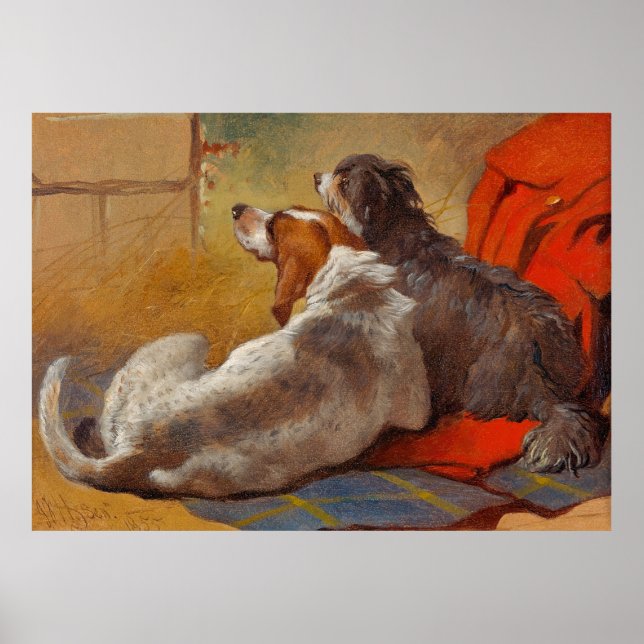 Poster Herring est une Hound et un Collie à hardes (Devant)