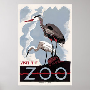 Poster Herron Butor d'Amérique Zoo Oiseau Publicité