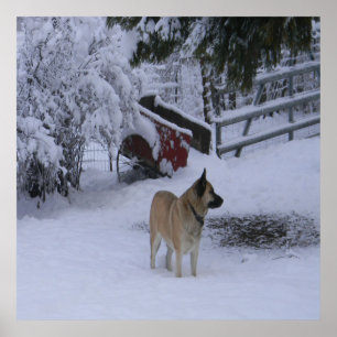 Poster Heure d'hiver....