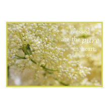 Heureux les Pures du Coeur