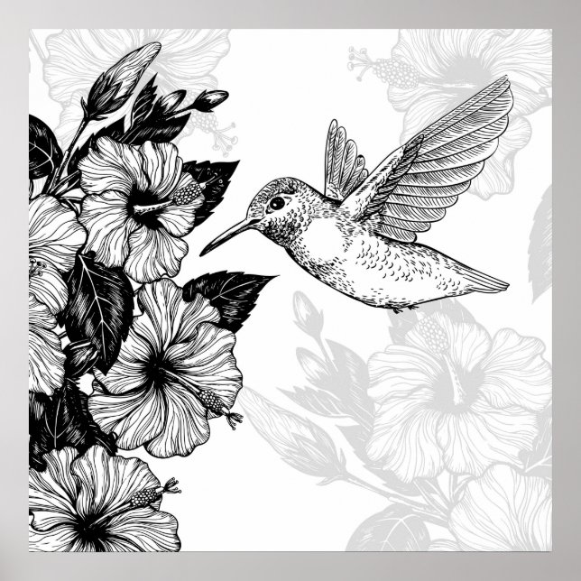 Poster Hibiscus et colibri (Devant)