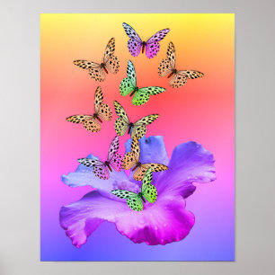 Poster Hibiscus Fleur Et Papillons Colorés