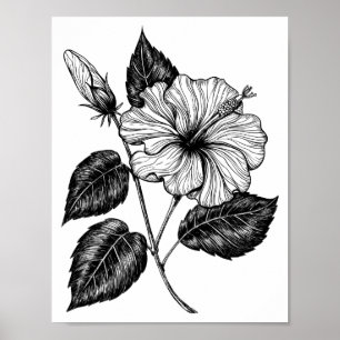Poster Hibiscus fleur II