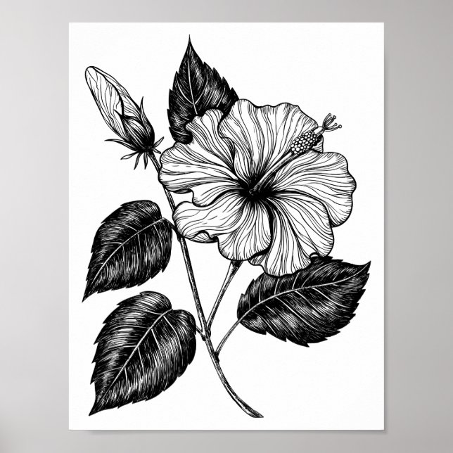 Poster Hibiscus fleur II (Devant)
