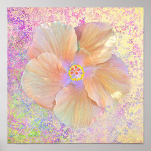 Poster Hibiscus fleur tropicale iridescente look or rose