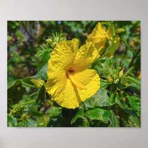 Poster Hibiscus jaune Fleur d'État Hawaii