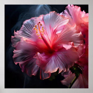 Poster Hibiscus rose élégant