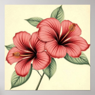 Poster Hibiscus Vintage sur Papier Patiné