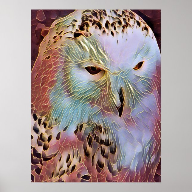 POSTER HIBOU (Devant)