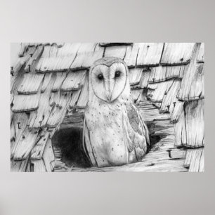 Poster Hibou de grange