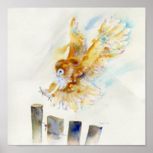 Poster Hibou de grange