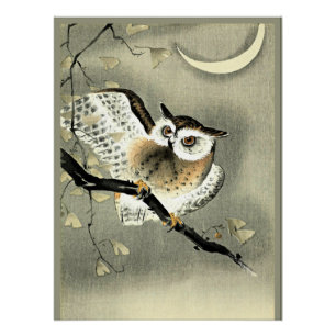 Poster Hibou moyen-duc sur une branche d'arbre par Ohara 