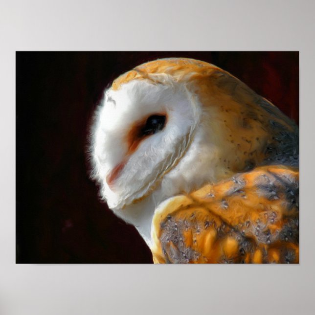POSTER HIBOUX (Devant)