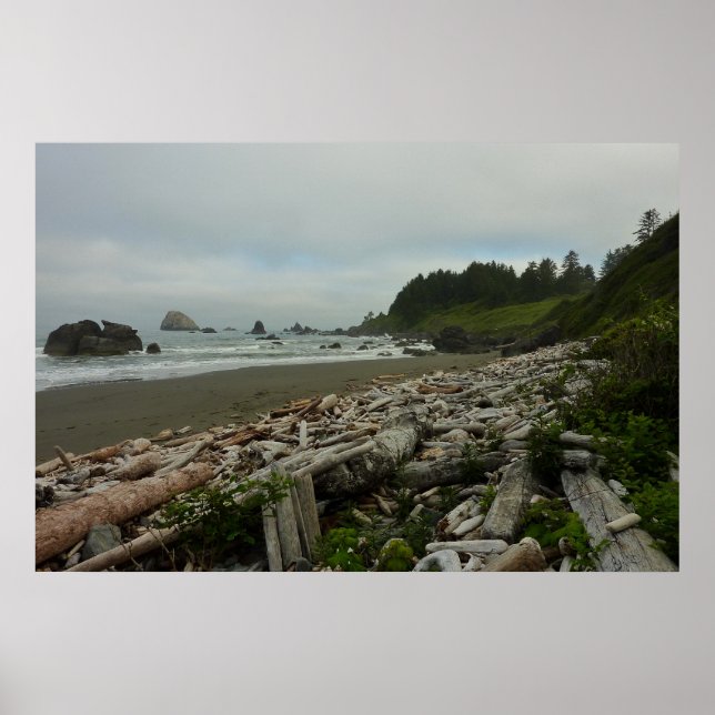 Poster Hidden Beach I at Redwood National Park (Devant)