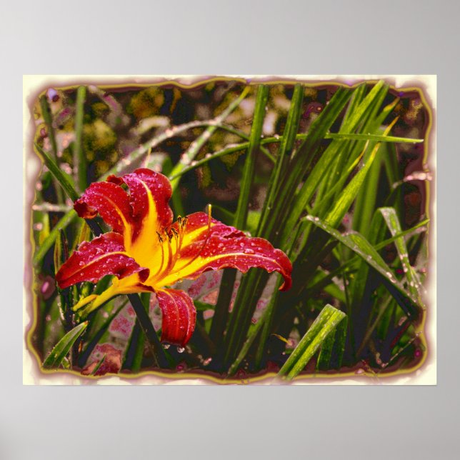 Poster Hier Lily Après La Pluie (Devant)