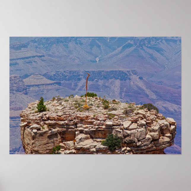 Poster High Garden (Devant)