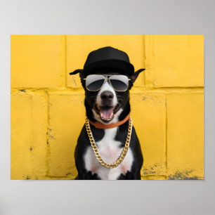 Poster Hip hop Dog Star dans Casquette branché et chaîne