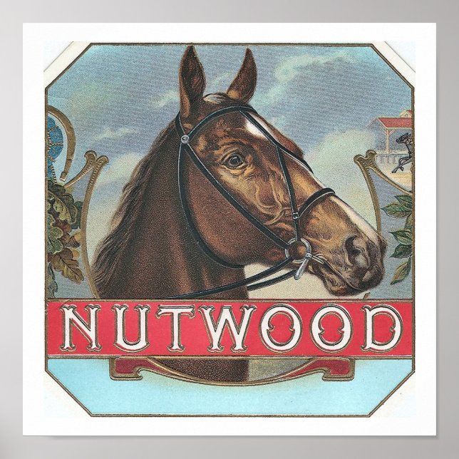 Poster Hippocampe Vintage célèbre de Nutwood (Devant)