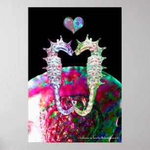 POSTER HIPPOCAMPES AMOUREUX ET NACRE ROSE