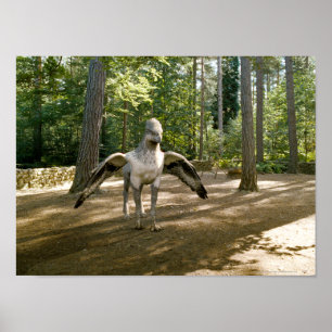Poster hippogriffe