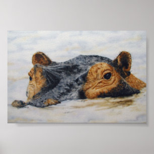 Poster hippopotame