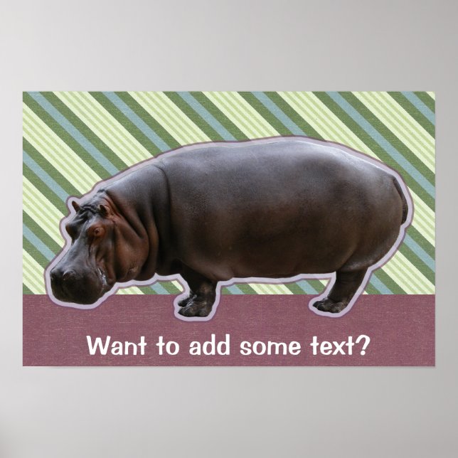 Poster Hippopotamus Imprimer (Devant)