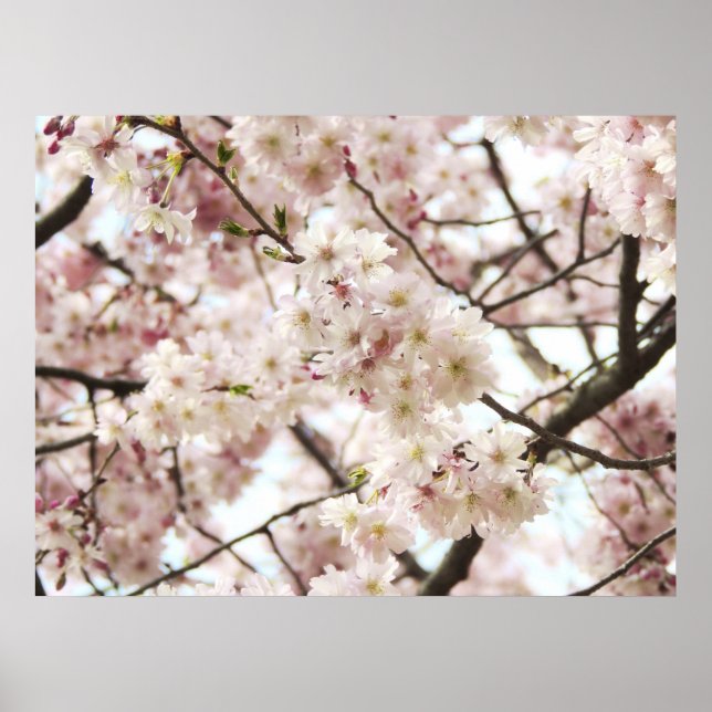 Poster Hipster (Devant)