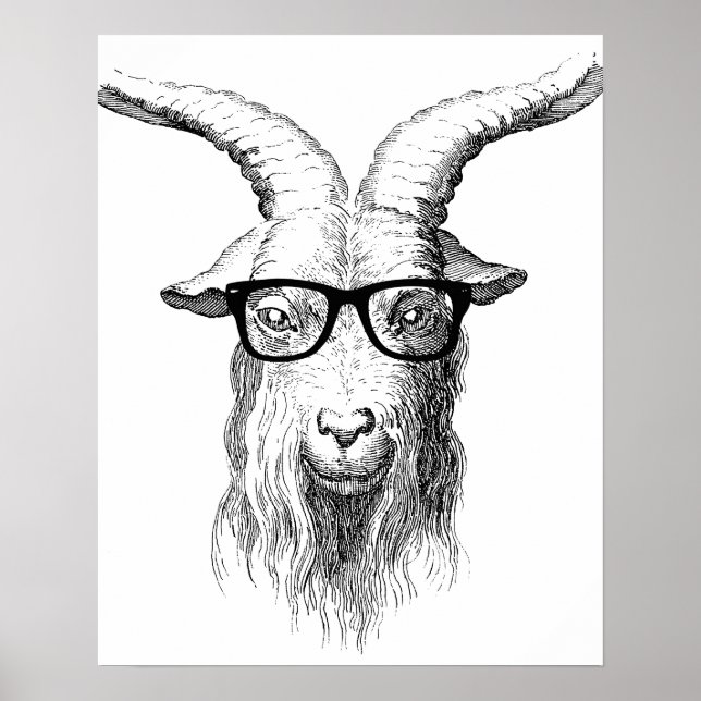 Poster Hipster goat (Devant)