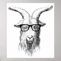 Hipster goat