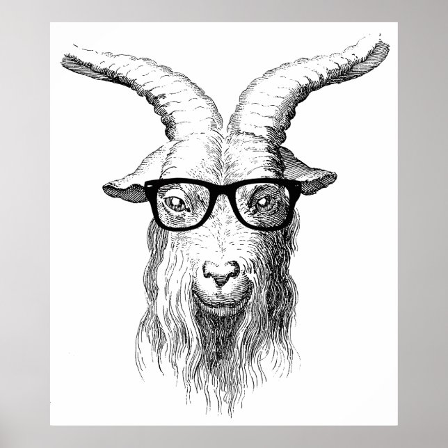 Poster Hipster goat (Devant)