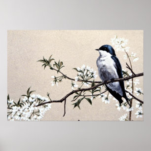 Poster Hirondelle d'arbre